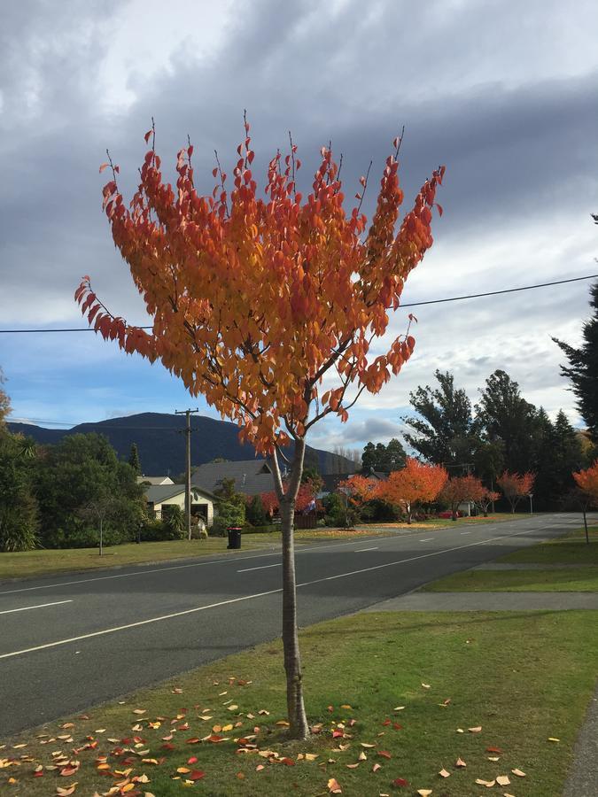 Shakespeare House Bed and Breakfast Te Anau Buitenkant foto